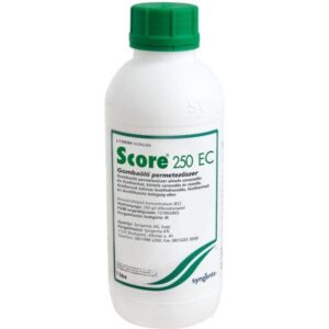 SCORE 250 EC