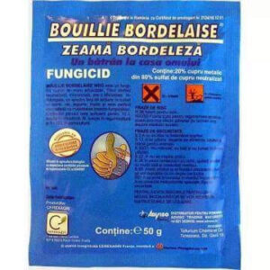 ZEAMA BORDELEZA