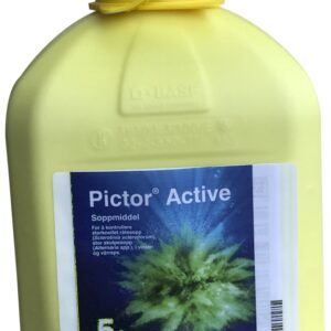 PICTOR ACTIVE