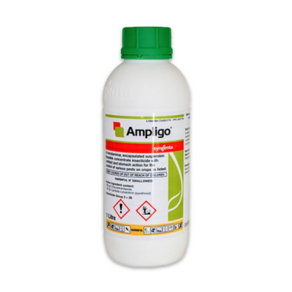 Insecticid AMPLIGO 1L