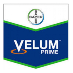 Fungicid Velum Prime 400 SC