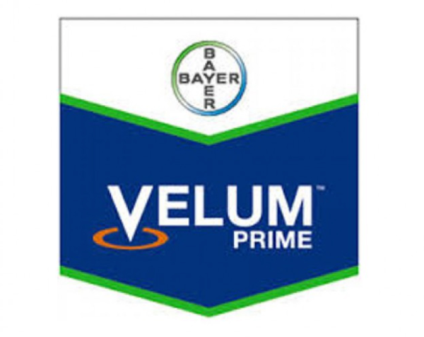 Fungicid Velum Prime 400 SC